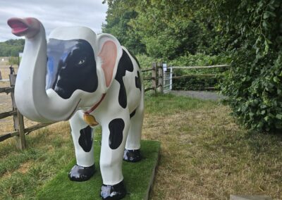 Connie the Calf front left