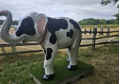 Connie the Calf left