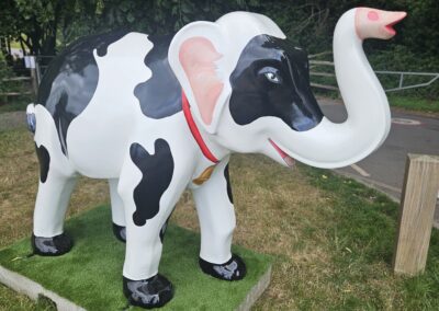 Connie the Calf right